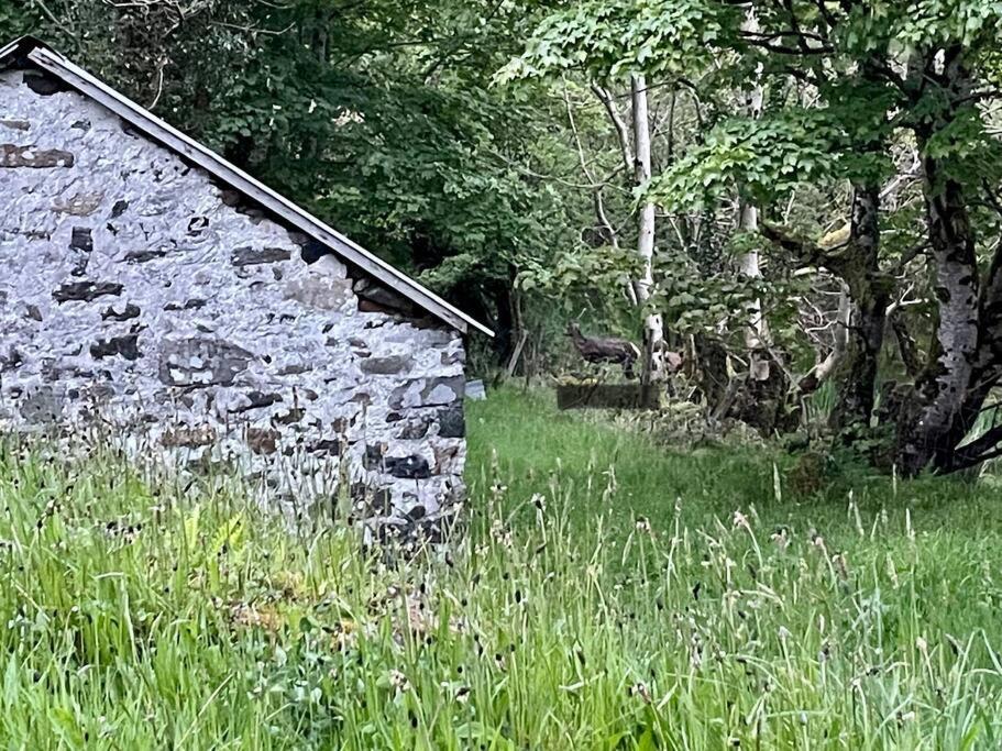 John The Mills Cottage Spahot Tub Private Beach Donegal Town Екстериор снимка